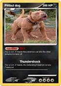 Pittbul dog