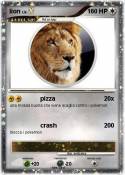 lion
