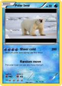 Polar bear