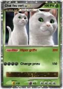 Chat feu vert