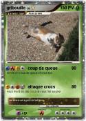 gribouille