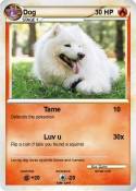 Dog
