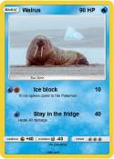 Walrus