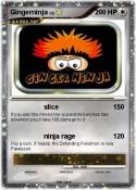 Gingerninja