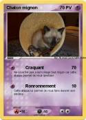 Chaton mignon