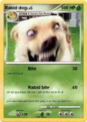 Rabid dog