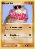Glamour Cat