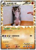 scaredy cat