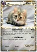 cat