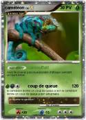 caméléon