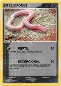 BIPES BIPORUS
