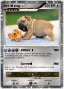 Scerd pug