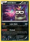 Cat In Space