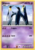 pingouin