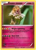 Flower mouse