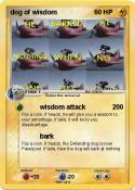 dog of wisdom