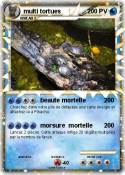 multi tortues