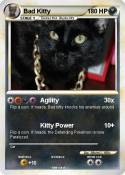 Bad Kitty