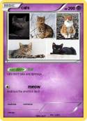 cats