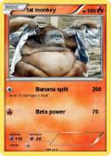 fat monkey