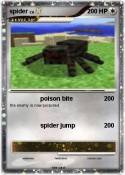 spider