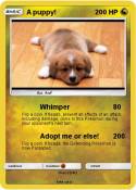 A puppy!