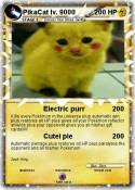 PikaCat lv.