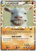 LA SAFIACHE