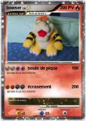 bowser
