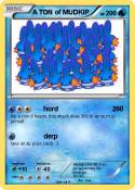 A TON of MUDKIP