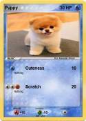 Puppy