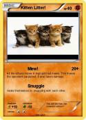 Kitten Litter!