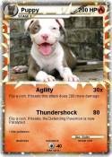 Puppy