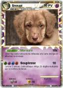Snoupi