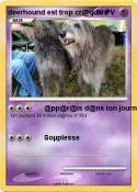 deerhound est
