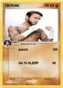 CM PUNK
