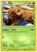 Pup
