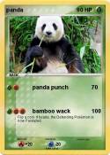 panda
