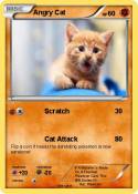 Angry Cat