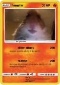 hamster