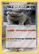 the kat