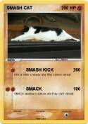 SMASH CAT