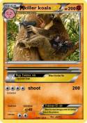 killer koala