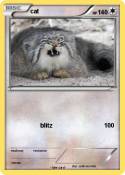 cat