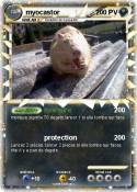 myocastor