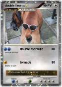 double fase