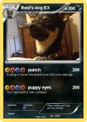 Reid's dog EX