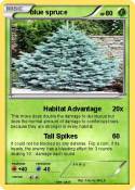 blue spruce