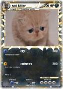sad kitten
