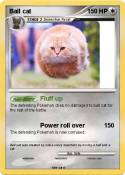 Ball cat